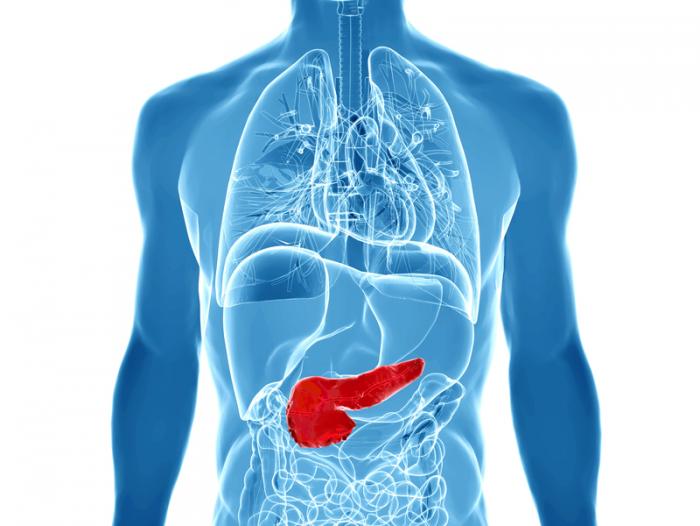 Acute pancreatitis: Causes, symptoms, and treatments - Medical News Today