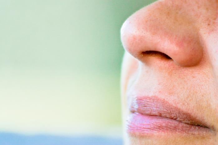 close up picture of a nose