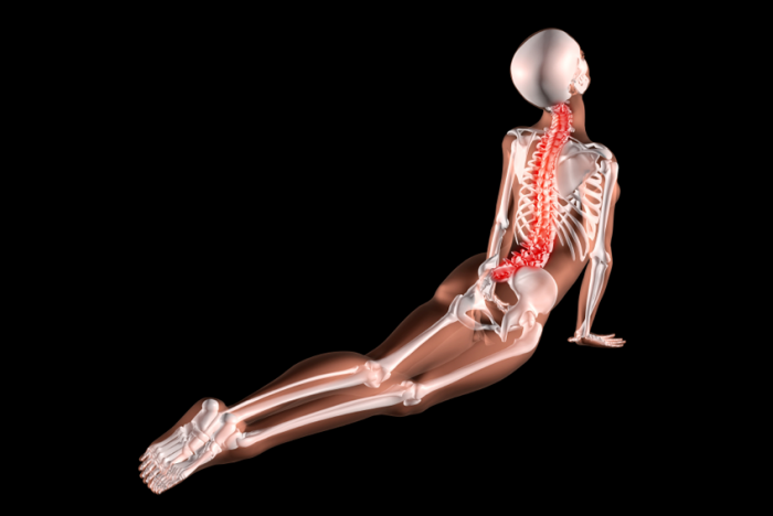 x-ray of a person taking part in a yoga pose