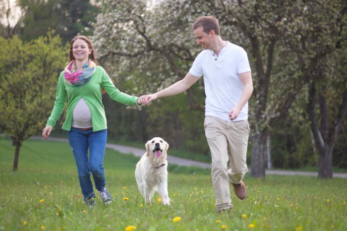 pregnant woman and man walking dog