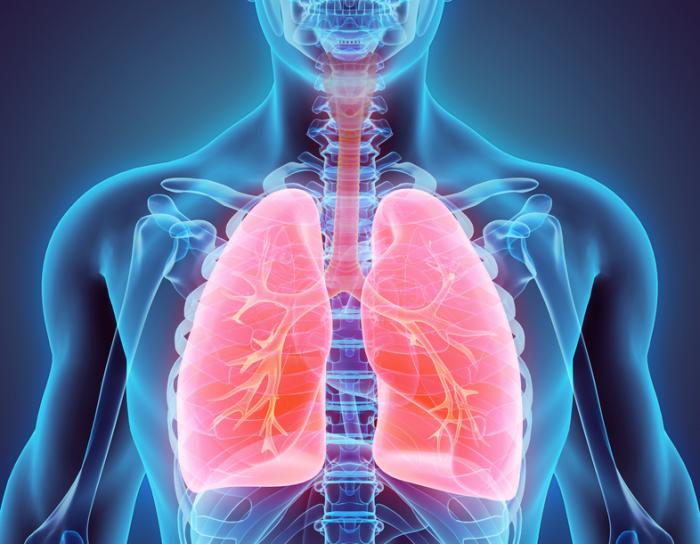 Potential New Treatment For Cystic Fibrosis Uncovered - 