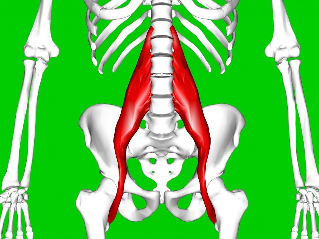 Groin strain: Symptoms, treatment, and recovery