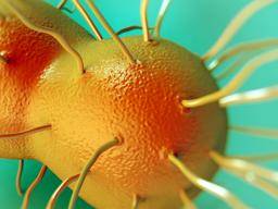 [block]What you need to know about STDs