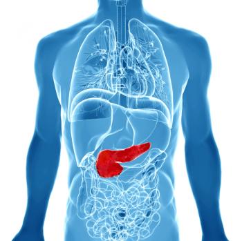 Image of the pancreas.